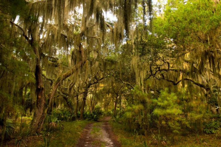 15 magníficos hoteles para amantes de la naturaleza 