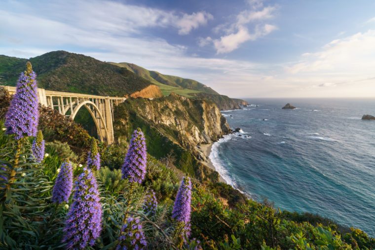 13 migliori tour in bicicletta che puoi fare in giro per il paese 