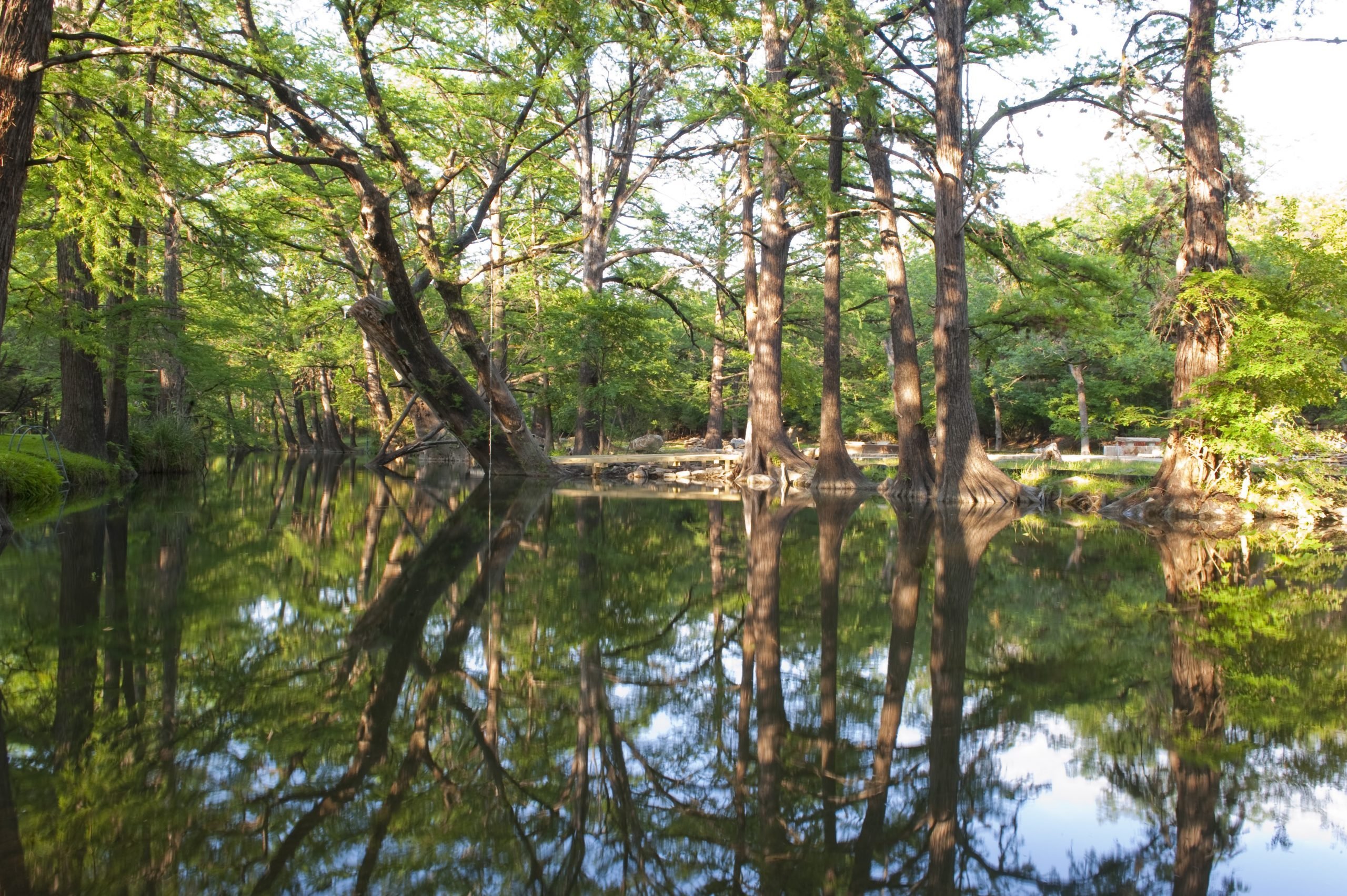 Les meilleures piscines naturelles aux États-Unis 