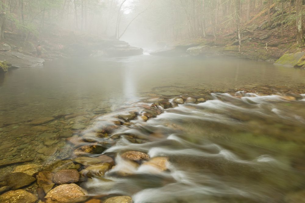 Les meilleures piscines naturelles aux États-Unis 