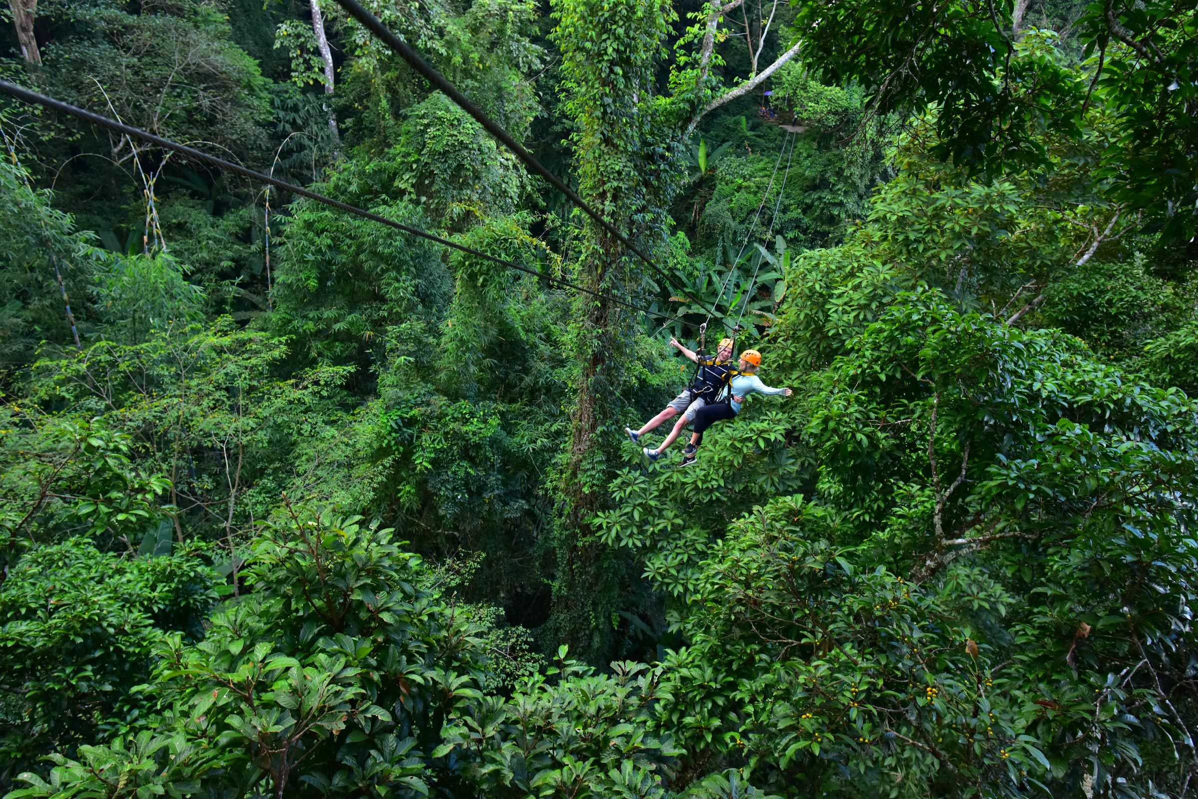 10 Garis Zip Paling Gila Di Seluruh Dunia 