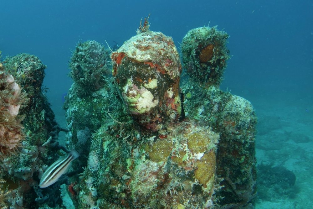 世界で最も見事な深海の観光スポット 
