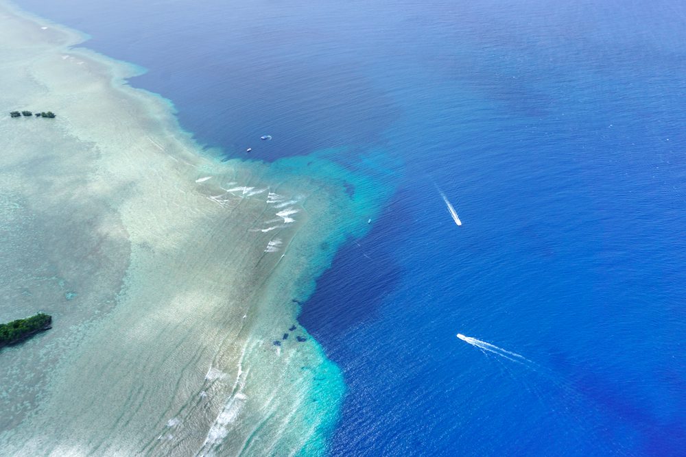 世界で最も見事な深海の観光スポット 