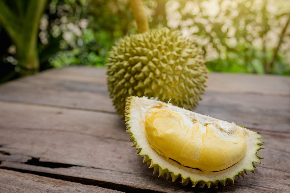 13 Makanan Menjijikkan yang Tidak Akan Anda Percaya Orang Sebenarnya Makan 