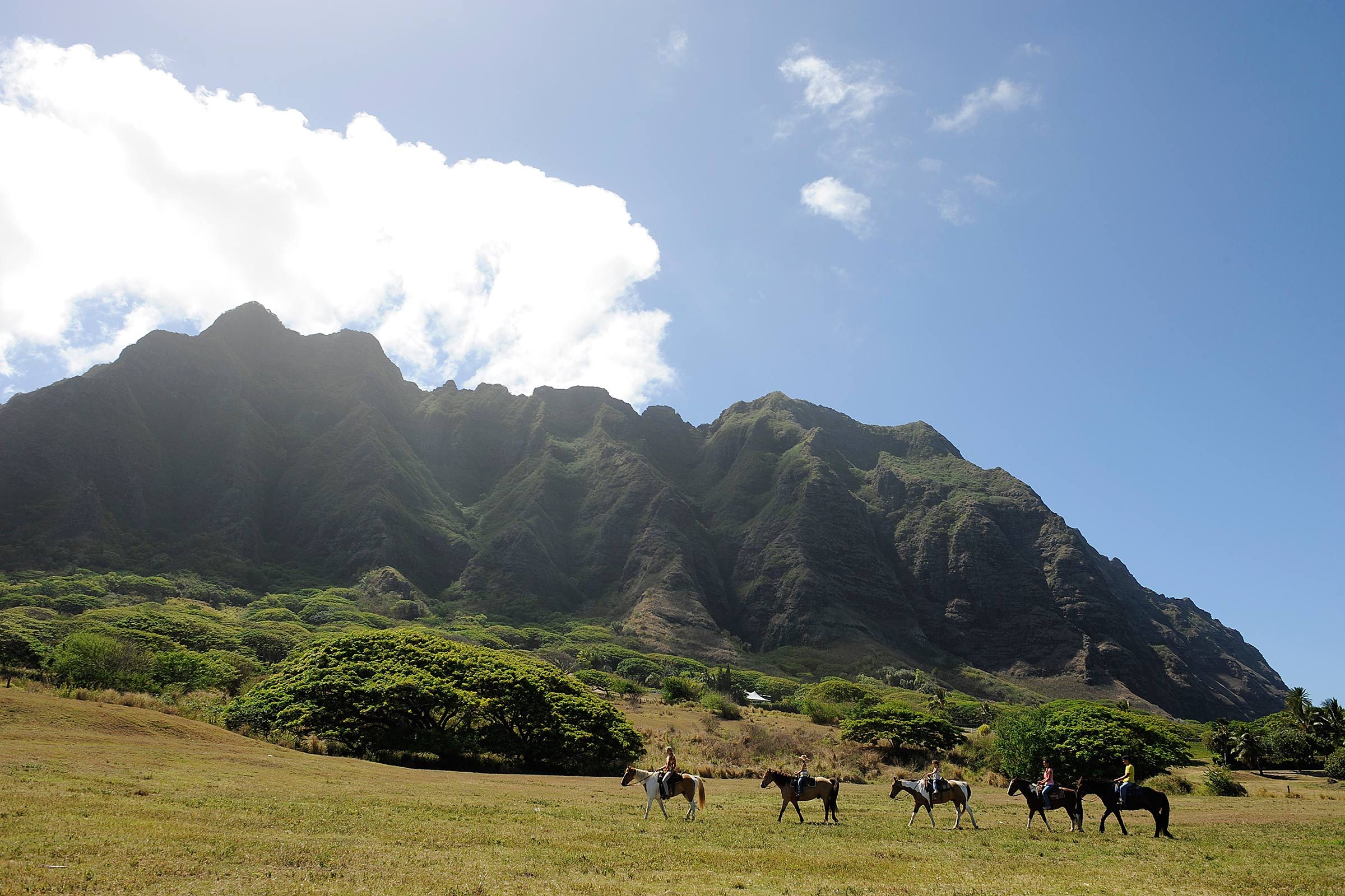 Los verdaderos significados detrás de estas 9 frases hawaianas populares guardan el secreto del zen 