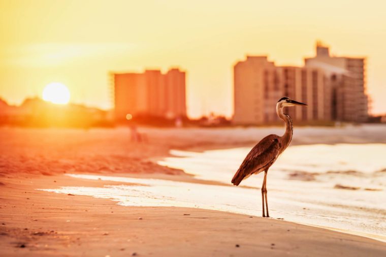 15 dos melhores pontos de férias para viagens de verão nos EUA 