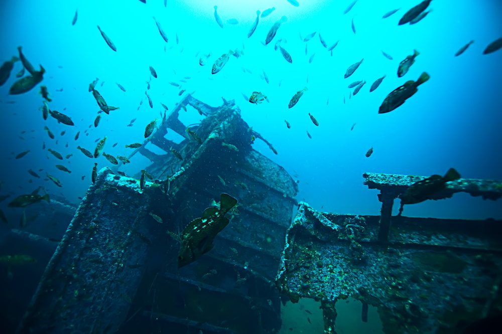 海底で見つけることができる13の最も不気味なもの 