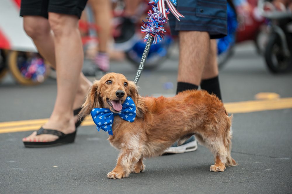 El mejor lugar para celebrar el 4 de julio en todos los estados 