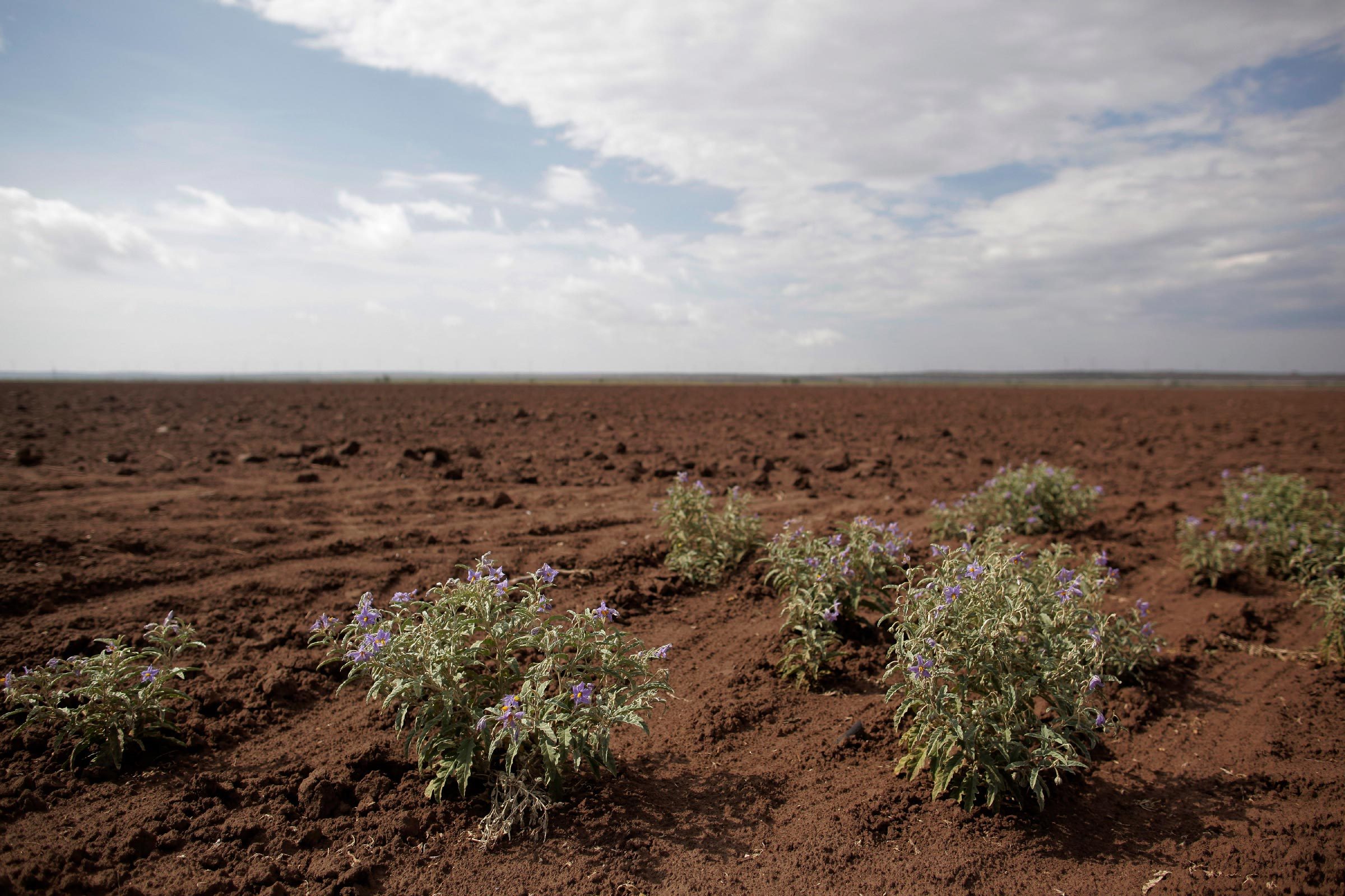 8 catastrophes naturelles incroyables dont vous ignoriez qu elles se sont produites aux États-Unis 