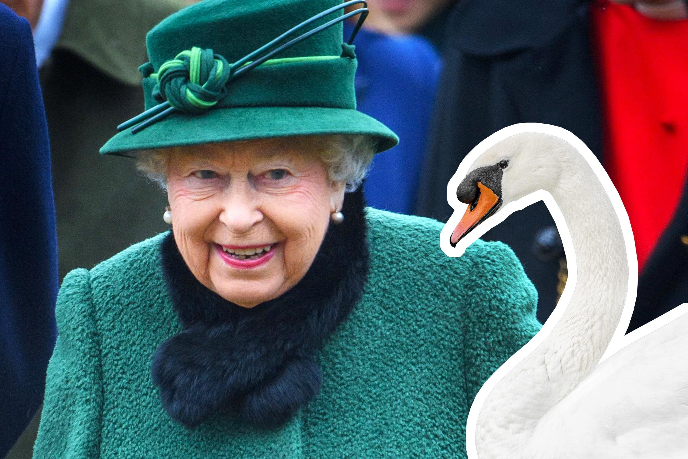 8 leyes británicas que la reina Isabel no tiene que seguir 