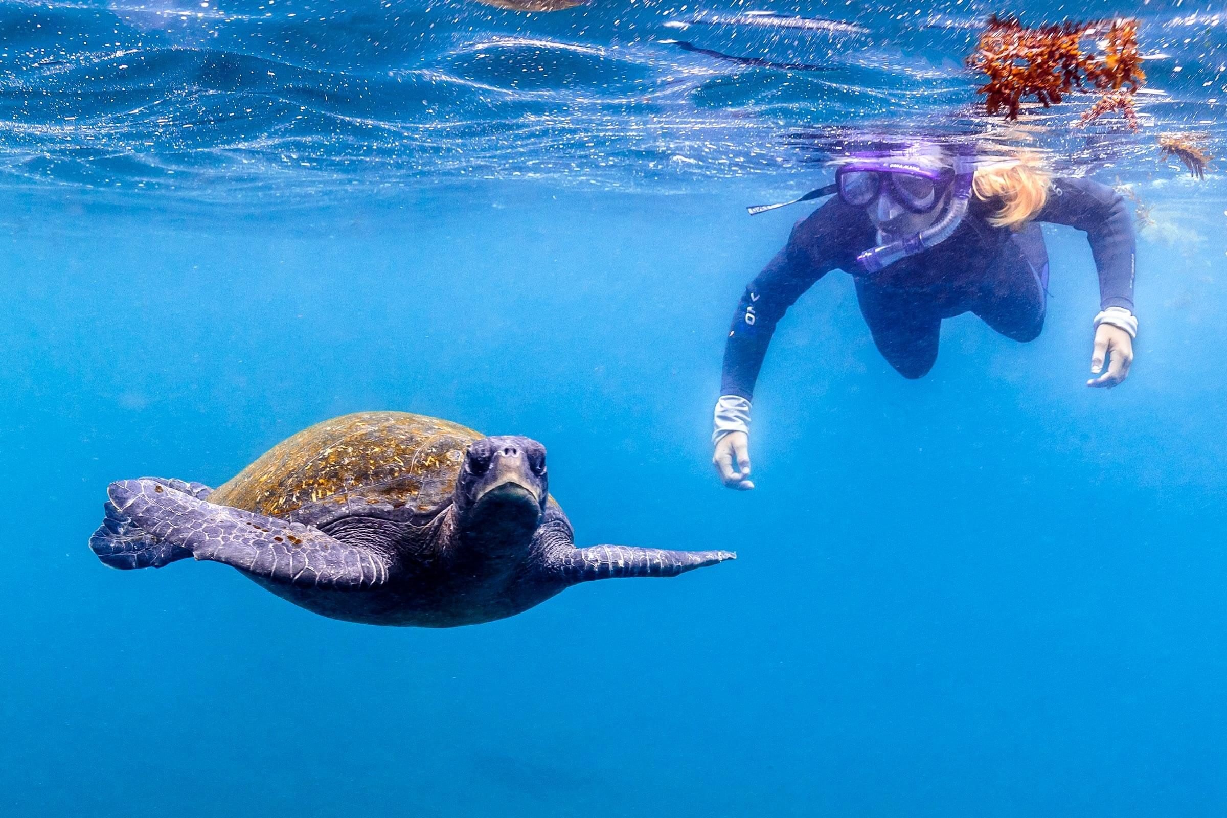 11 spiagge meravigliose da aggiungere alla tua lista dei desideri al più presto 