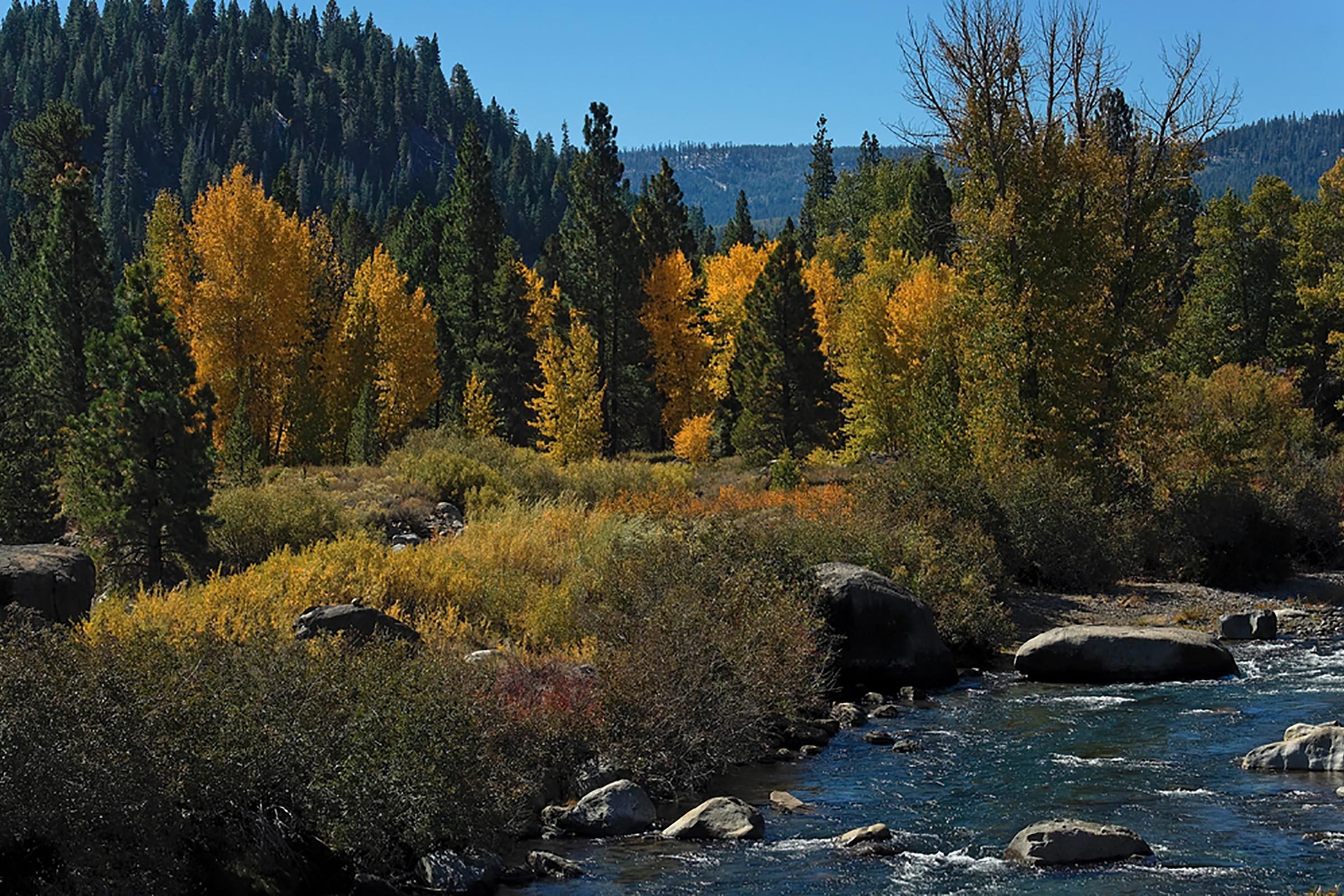 10 idee divertenti per una bellissima vacanza di fine settimana autunnale in famiglia 