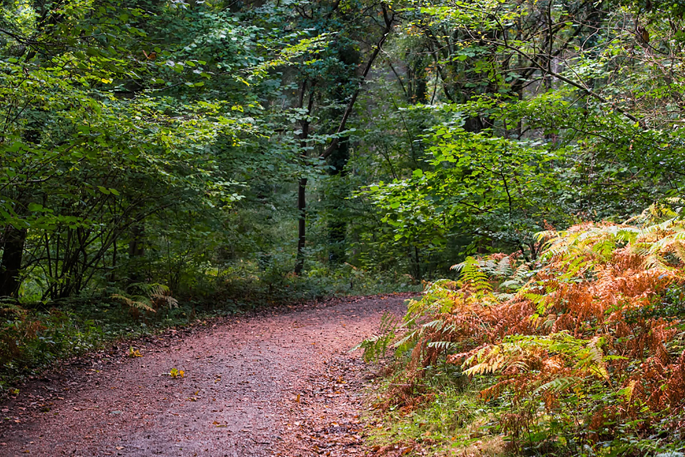 10 idées amusantes pour une belle escapade de fin de semaine d automne en famille 