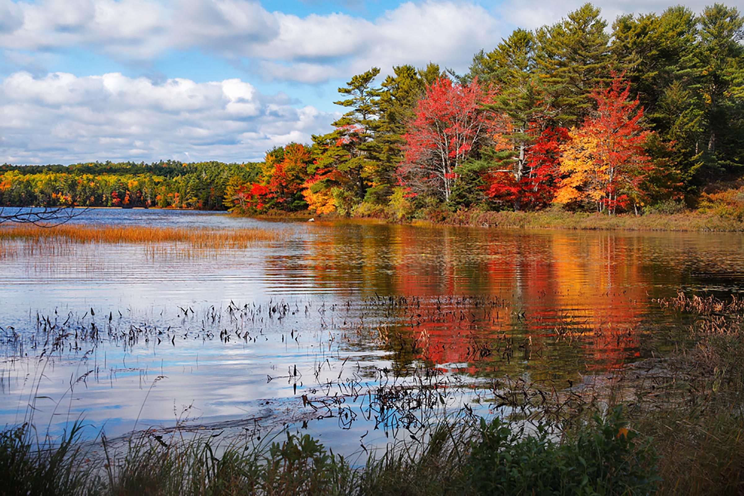 10 ideas divertidas para una hermosa escapada familiar de fin de semana de otoño 