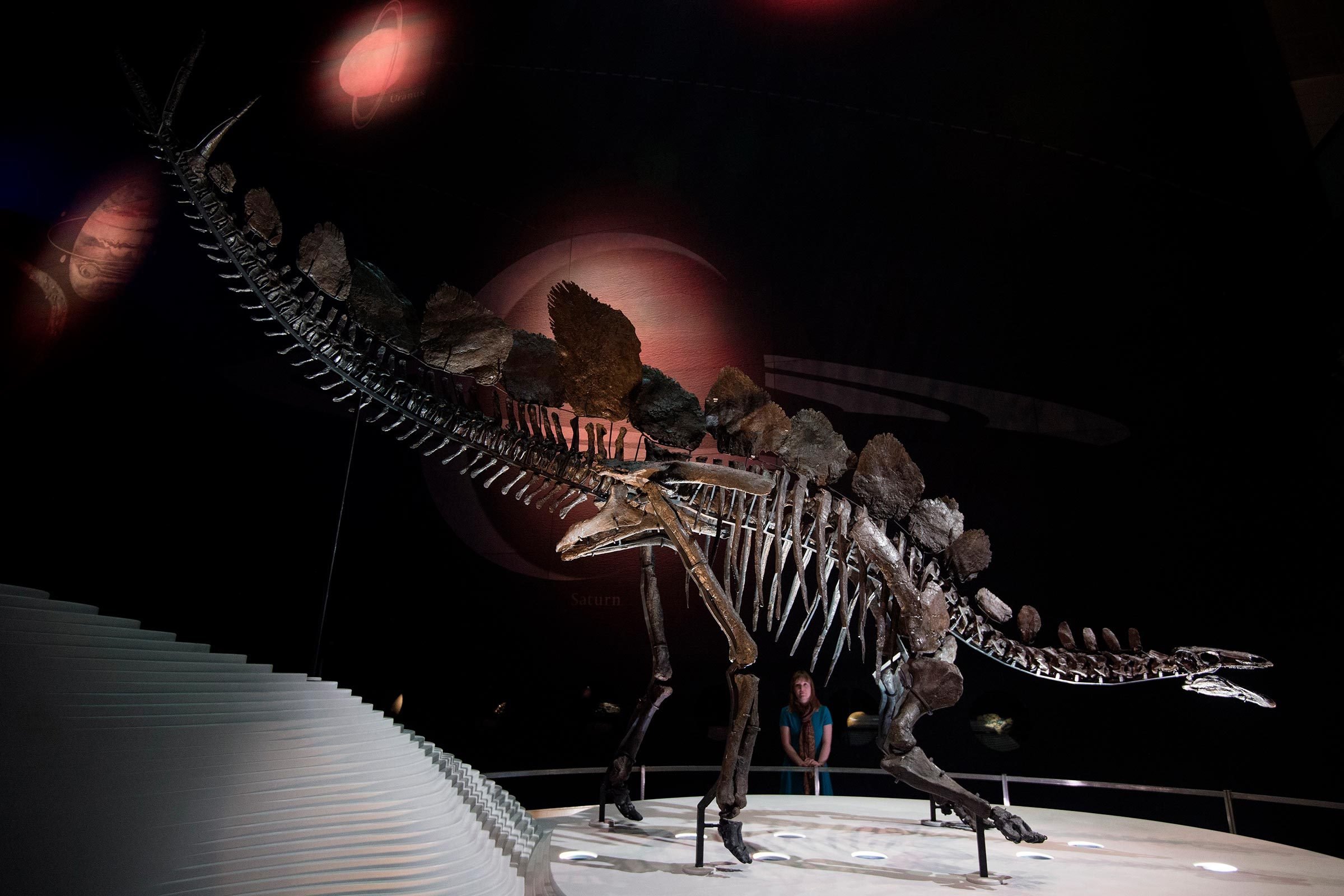 12 dei migliori musei di dinosauri del mondo 