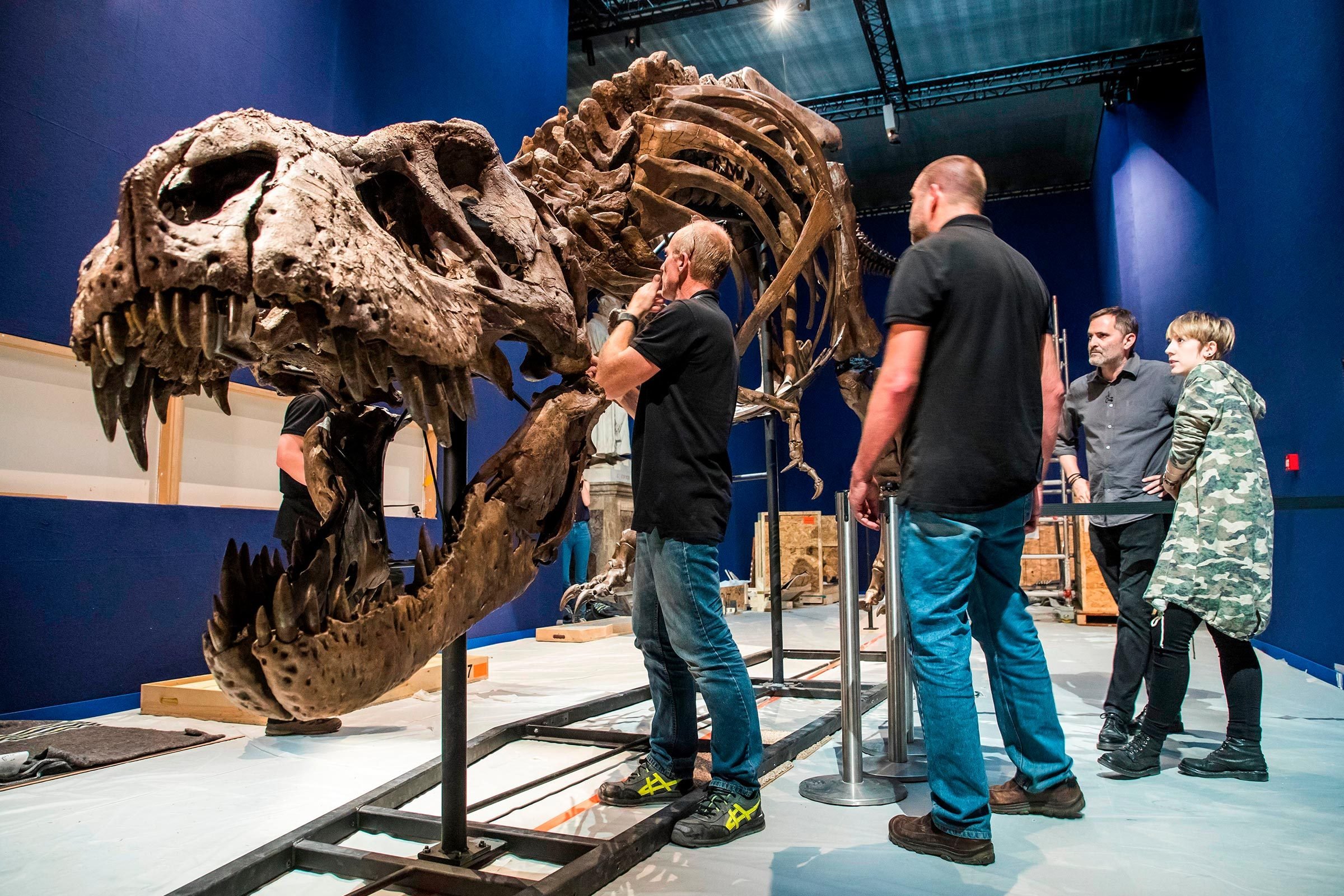 12 de los mejores museos de dinosaurios del mundo 
