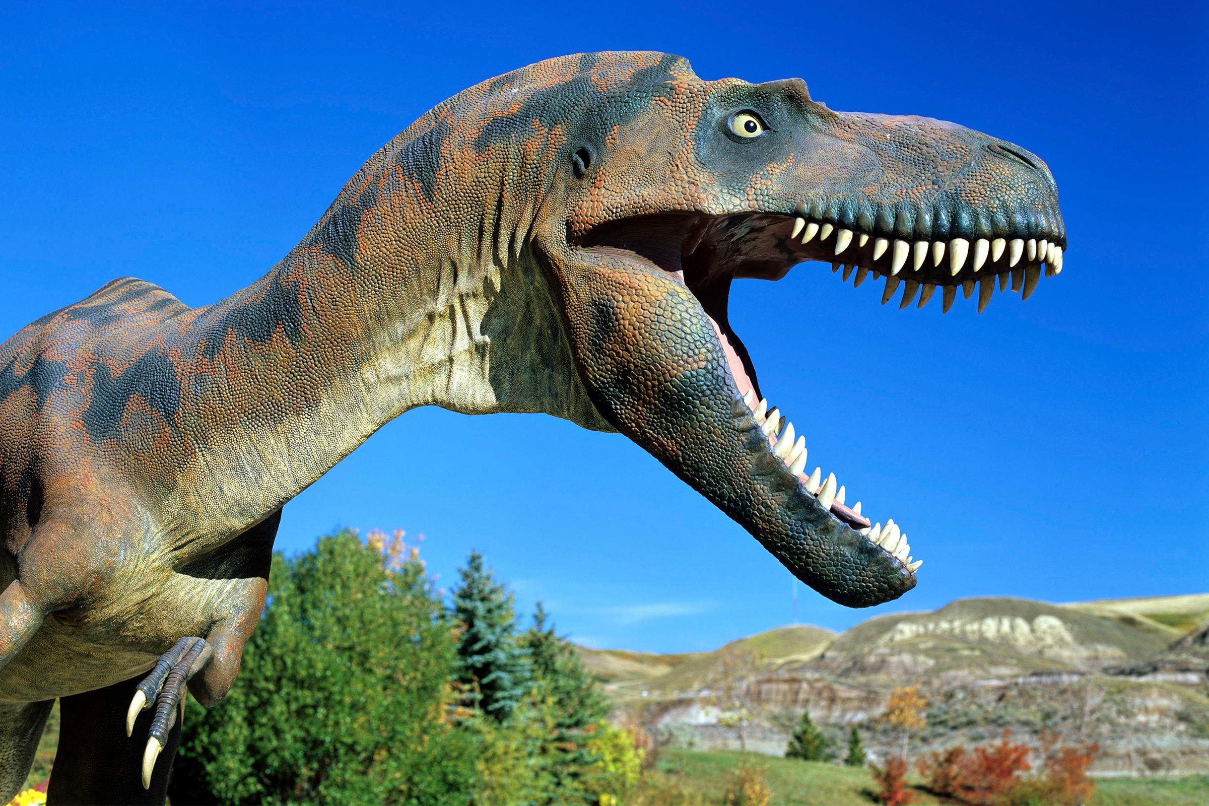 12 des meilleurs musées de dinosaures au monde 