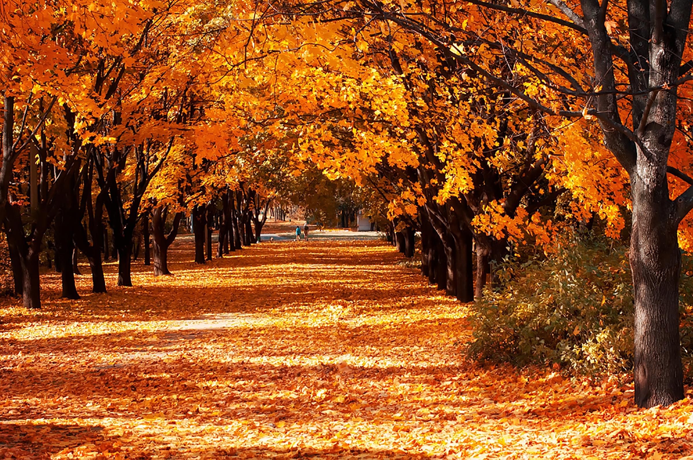 7 razones por las que el otoño es el momento más barato, fácil y mejor para viajar 