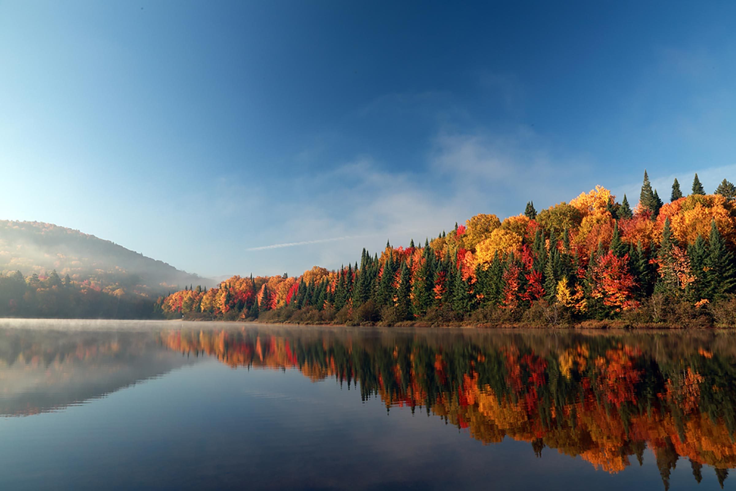 秋が最も安く、最も簡単で、旅行に最適な7つの理由 