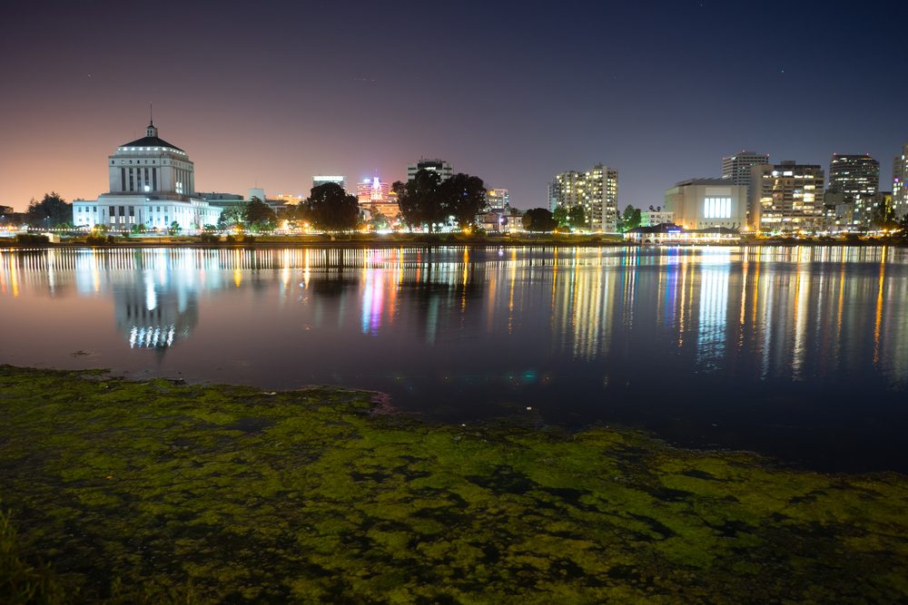 Las mejores ciudades para caminar en Estados Unidos 