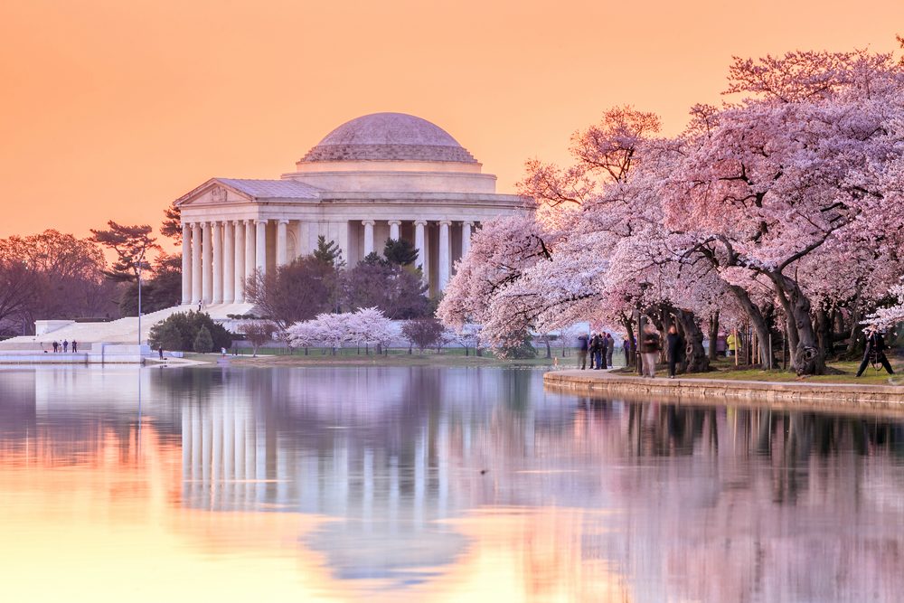 Las mejores ciudades para caminar en Estados Unidos 