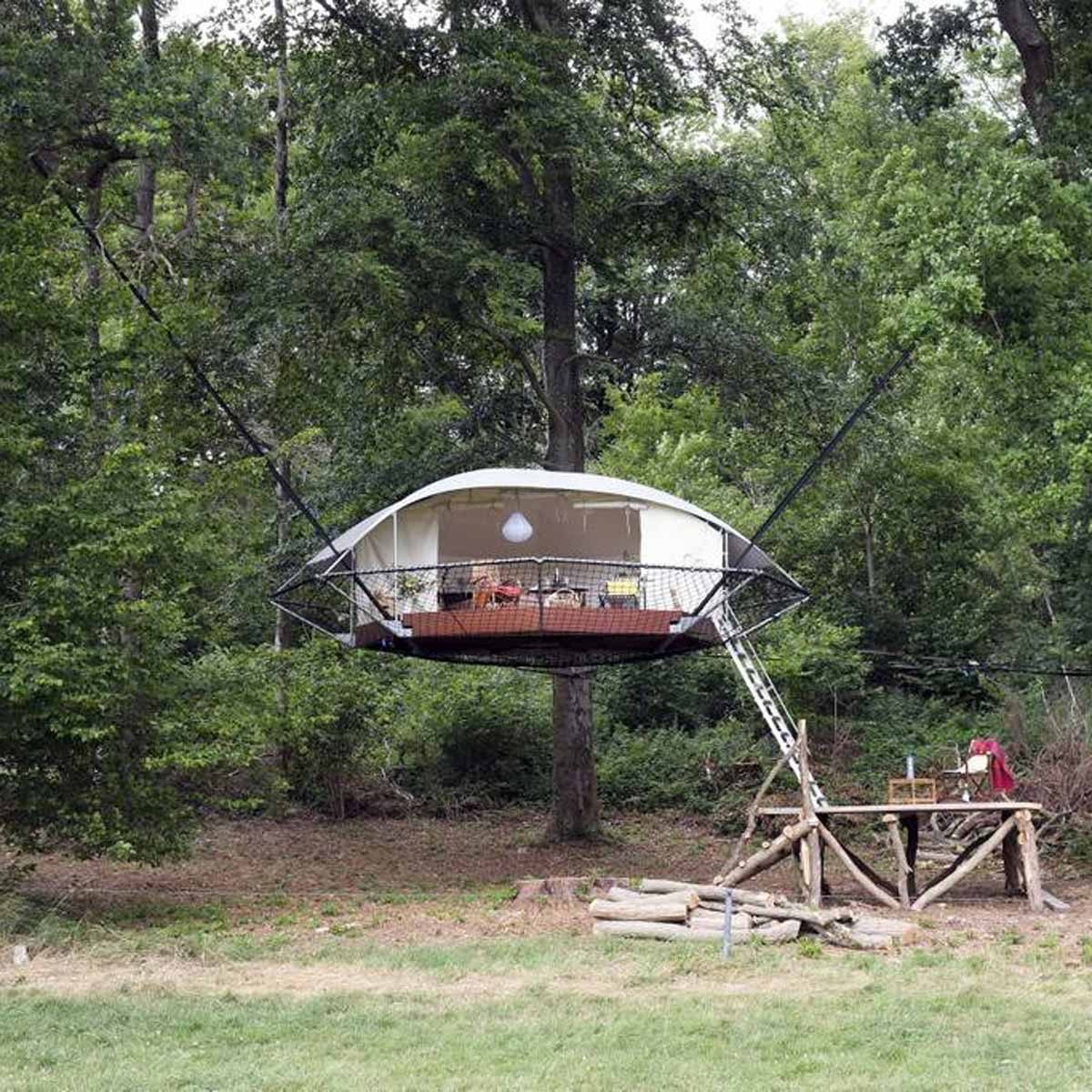19 case sugli alberi che sembrano UFO 