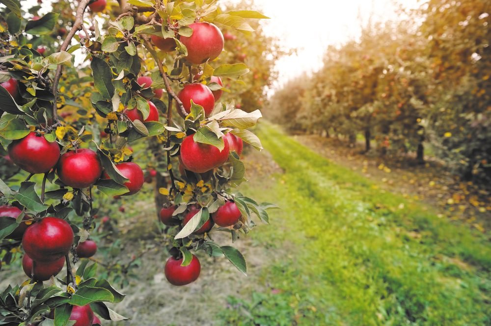 Les meilleures activités d automne dans chaque État 