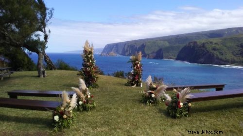 Dans les coulisses d Hawaii Forest &Trail :séance photo de mariage à Mokulanikila 
