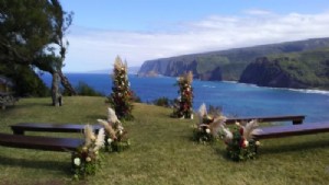 Detrás de escena en Hawaii Forest &Trail:sesión de fotos de boda en Mokulanikila 