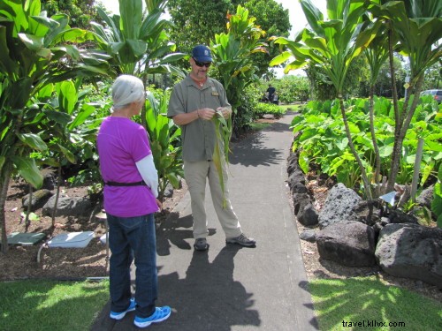 Pengepakan untuk Hawaii:Sekarang &Nanti- Pada April Nelson 