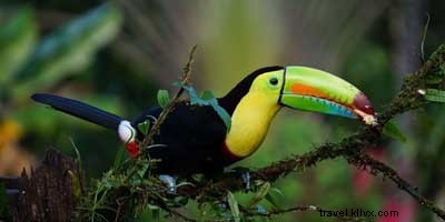 11 faits sur le Costa Rica qui vont vous surprendre 
