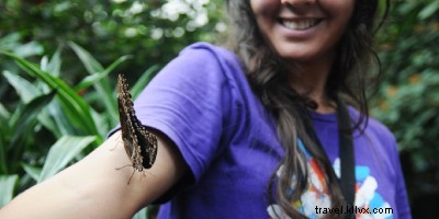 9 pengalaman Kosta Rika untuk relaksasi dan peremajaan 