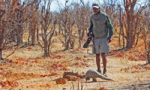 Konservasi Trenggiling di Afrika Selatan 