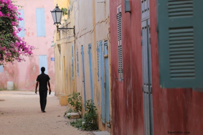 5 cosas que hacer en Senegal 