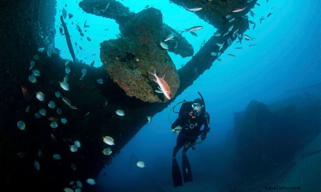 Debajo de la superficie:7 vistas asombrosas que encontrarás en el agua de Santa Elena 