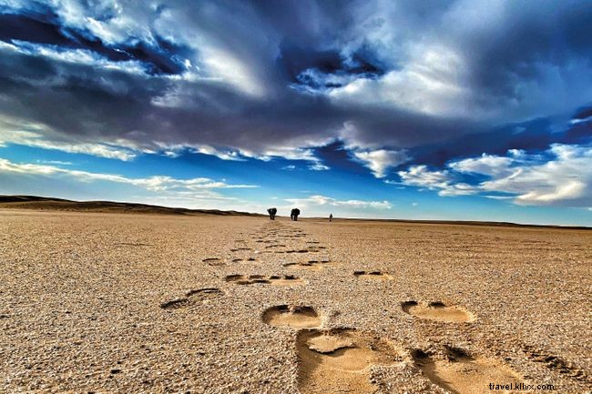 Com è la vita nel deserto del Sahara? Alice Morrison lo scopre 