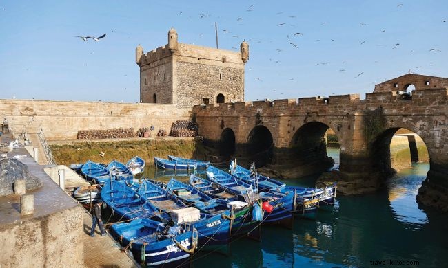 代替モロッコ：モロッコのほとんど訪問されていない大西洋岸への旅 