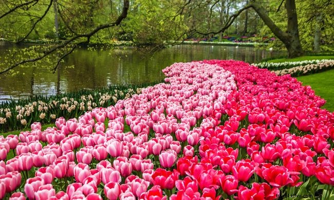 12 cenas de primavera coloridas de todo o mundo 