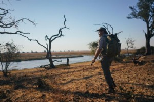 Parliamo con Levison Wood di camminare con gli elefanti in Botswana 