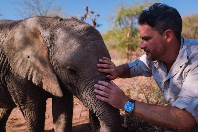 Nous discutons avec Levison Wood de la marche avec les éléphants au Botswana 