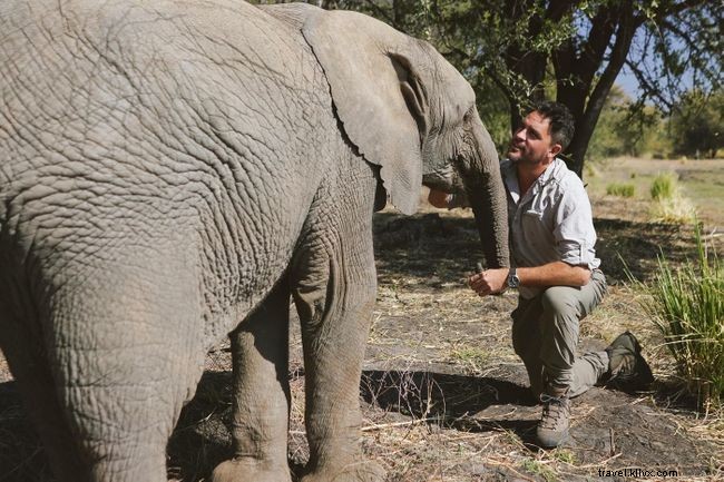 ボツワナで象と一緒に歩くことについてレヴィゾン・ウッドと話をします 