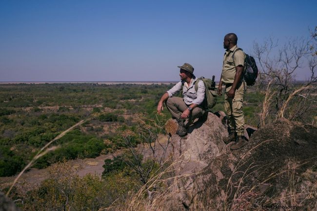 ボツワナで象と一緒に歩くことについてレヴィゾン・ウッドと話をします 