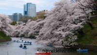 6 luoghi rilassanti nella capitale del Giappone 